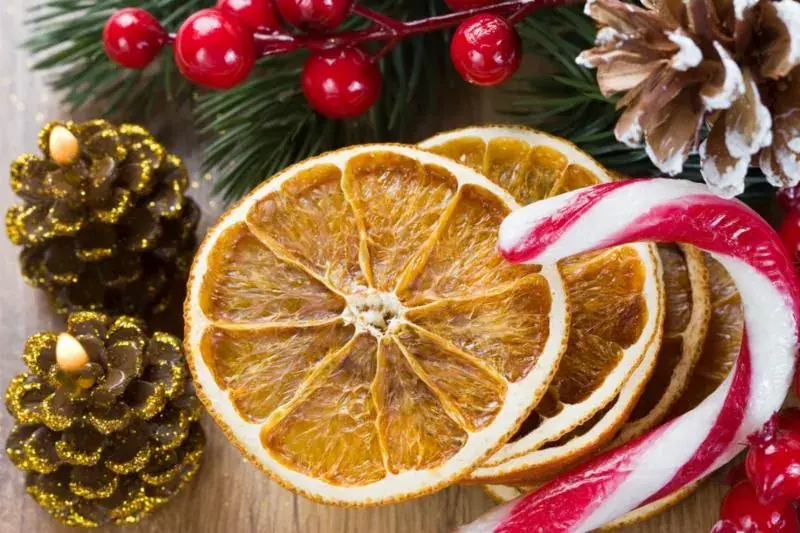 Dried orange slices, pine cones, holly and a candy cane arranged together