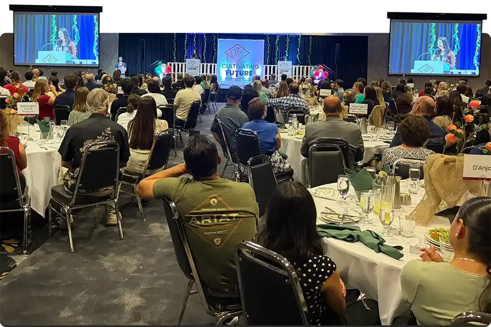 A full ballroom of guests at round tables watching a student speak from the podium on the big screens at a Scholarship Celebration Luncheon